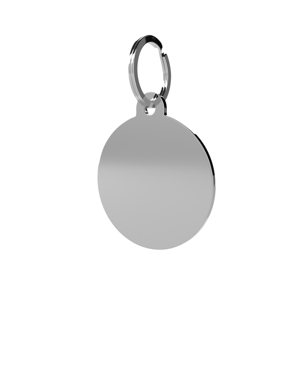 10x Large Circle Pet Tags - St.Steel (C32-SIL)